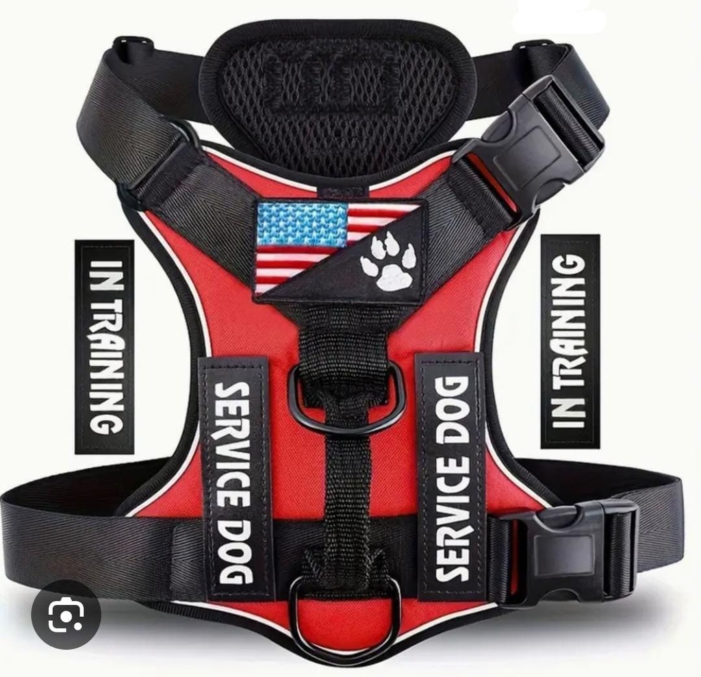 ARNES SERVICE DOG POLIESTER COLORES VARIOS CON ABROJO INTERCAMBIABLE TALLE M 25-5124