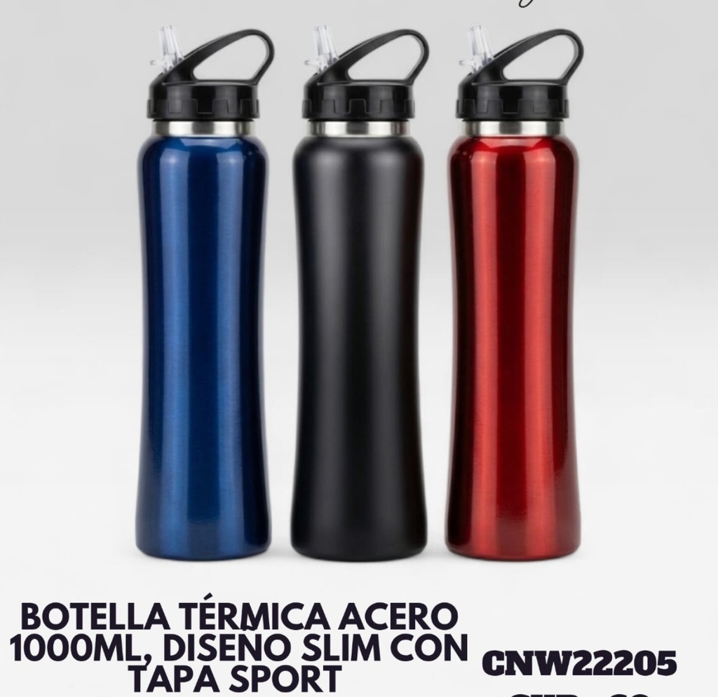 BOTELLA TERMICA 1 LTS LISO CON PICO Y AGARRE VARIOS COLORES CNW22205